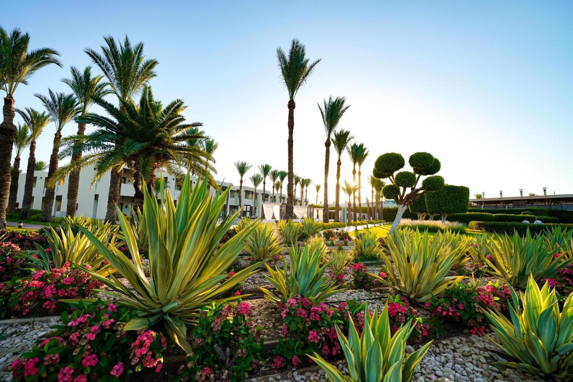 Sentido Reef Oasis Aqua Park Resort Sharm el-Sheikh Exterior photo